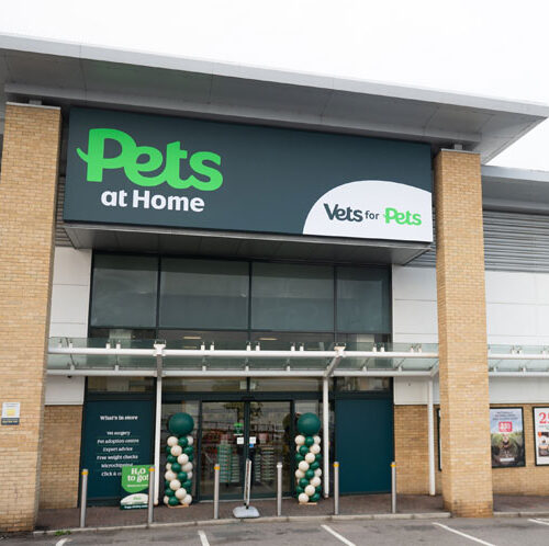 First month at Vets4Pets Redditch: learning to work in interruptions